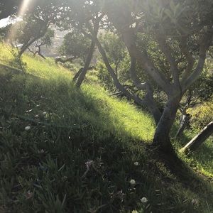 Meet your Posher, Ash